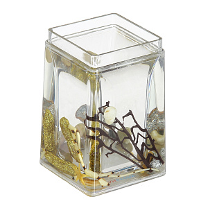 Стакан для зубных щеток Sea Shine Duschy 000000000001109910