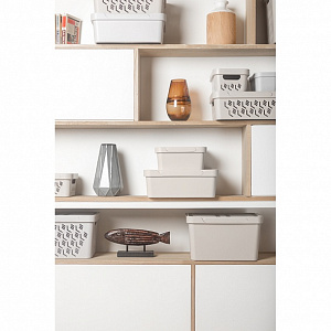 Ящик 27х19х12см 4,6л ECONOVA LUXE универсальный с крышкой светло-бежевый пластик 000000000001206119