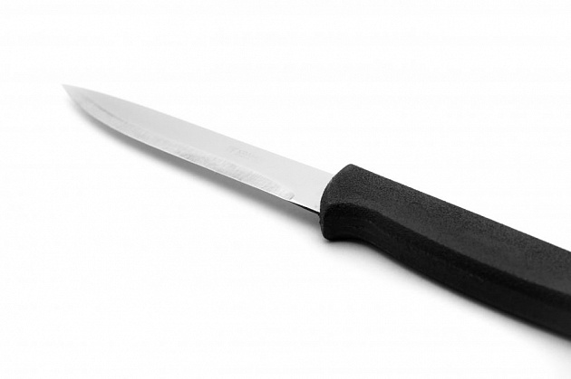 Нож для овощей НОБ-2 ПОСУДА ЦЕНТР, нержавеющая сталь/полипропилен, лезвие 11см/общая длина 21,5см, толщина металла 1мм, 06С51929 000000000001199132
