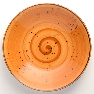 Набор столовой посуды 24 предмета TULU PORSELEN Deniz ORANGE фарфор 000000000001210096