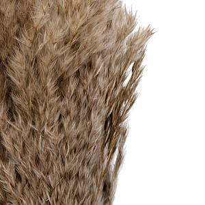 Цветок искусственный Сухоцвет Пампасная трава 10шт 60-70см 000000000001222190