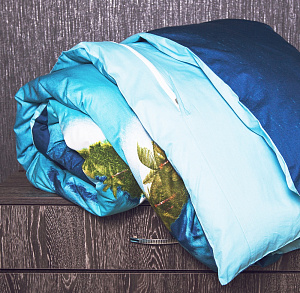 Комплект постельного белья 2спальное DE'NASTIA Сатин 3D Лагуна Наволочки 2шт ПУ C010383 000000000001116691