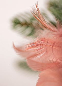 Декоративное украшение из перьев 10см DARLENS ассорти 000000000001209911