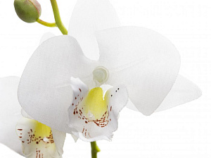 Цветок искусственный "Орхидея" 23см R010818 000000000001196700