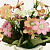 Цветок искусственный "Хризантема"17 смR010471 000000000001189334
