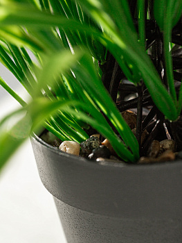 Цветок искусственный "Зелень" 24см R010801 000000000001197546