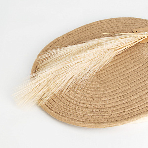 Цветок искусственный Пампасная трава 77см бежевая 000000000001221575