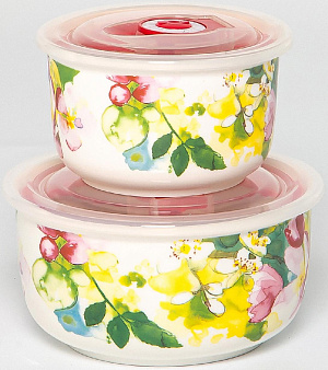 Набор салатников 2шт 280мл/540мл BALSFORD Весна пластиковая крышка подарочная упаковка фарфор 000000000001205659