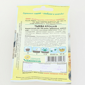 Семена Тыква Крошка 5шт Р (ссс) ЛИДЕР ПРОДАЖ! СС015046 пакет 000000000001195355