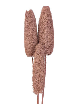 Сухоцветы 16x6x70см DE'NASTIA Люффа микс цветов 000000000001228195