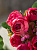 Цветок искусственный "Пионы" 10 бутонов R010749 000000000001197539