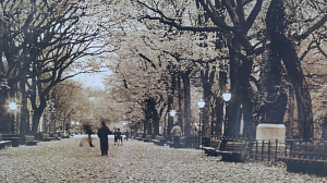 Репродукция 40х40см ДЕКАРТ д8С0117 000000000001162691