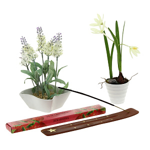 Ароматические палочки Земля Индокитай-Сибирь 000000000001001694