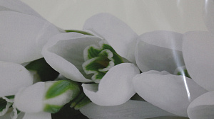 Репродукция 50х140см ДЕКАРТ д8С0384 000000000001162695