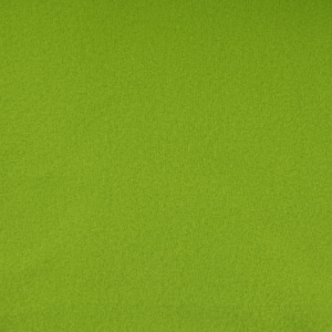 Плед 1,5-спальный 160х120см FORA плотность 140гр/м2 яблоко полиэстер 000000000001186001