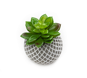 Цветок искусственный "Агава"  13 смR010466 000000000001189330