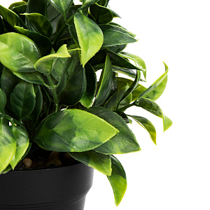 Цветок искусственный растение Зелень 14см в горшке 000000000001218504