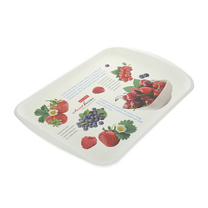 Поднос прямоугольный 435х305мм PLAST TEAM PT9215 000000000001064990