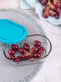 Контейнер для хранения продуктов 480мл PIANUT иранское стекло 000000000001205467