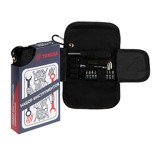 Набор инструментов 19 предметов TUNDRA подарочный чехол с карабином металл 000000000001211080