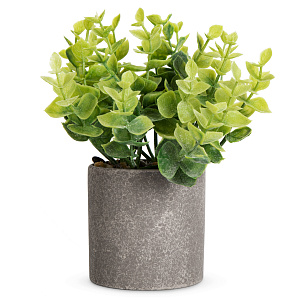 Цветок искусственный растение Эвкалипт 23см в горшке 000000000001218488