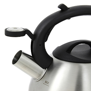 Чайник для газа 2,5л TEFAL нержавеющая сталь C7921014 000000000001092169