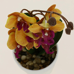 Цветок искусственный Орхидея 30см R010639 000000000001192380