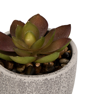 Цветок искусственный растение Суккулент Арья 8см в горшке 000000000001218500