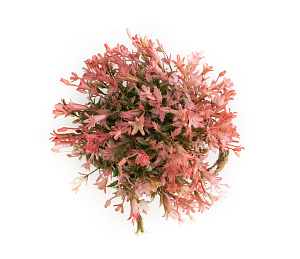 Цветок искусственный "Луговой" 20смR010448 000000000001189313