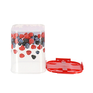 Контейнер для хранения Ягоды Деко Idea, 10л 000000000001129802