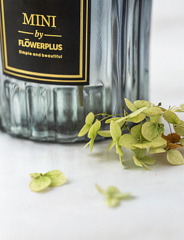 Ваза 18х7см Стефани стекло 000000000001209239