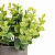 Цветок искусственный растение Эвкалипт 23см в горшке 000000000001218488