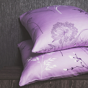 Комплект постельного белья 1,5спальное DE'NASTIA Сатин Легенда 70x70см-2шт C010409 000000000001123880