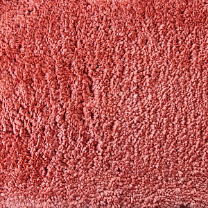 Коврик для туалета DE'NASTIA 50х50см коралл микрофибра M000027 000000000001107627