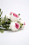Цветок искусственный "Пионы букет" 32см R011043 000000000001199233