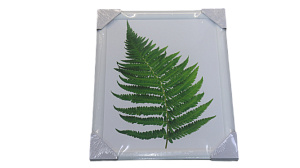 Репродукция 40х50см Декарт (1) мдф в32 8Л1737 000000000001205365