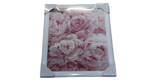 Репродукция 40х50см Декарт (1) мдф в61 8Л2992 000000000001205375