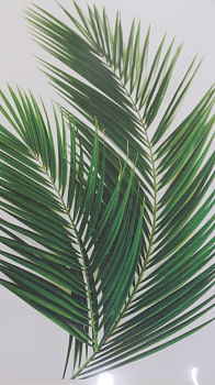 Репродукция 40х50см Декарт (1) мдф в33 8Л1738 000000000001205364