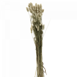 Цветок искусственный "Колос" сухоцвет 75см R011047 000000000001199237