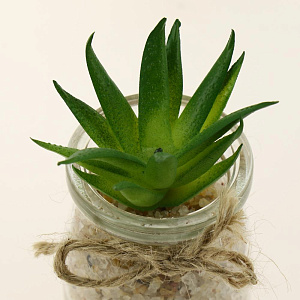 Цветок искусственный "Суккулент"  9-17смR010456 000000000001189320