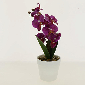 Цветок искусственный Орхидея 30см R010639 000000000001192380