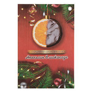 Аромасаше 20гр Апельсин в шоколаде 000000000001191621