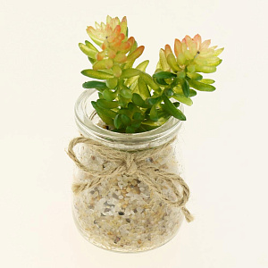Цветок искусственный "Суккулент"  9-17смR010456 000000000001189320