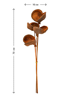 Сухоцветы 16x8x70см DE'NASTIA Бадам микс цветов 000000000001228191