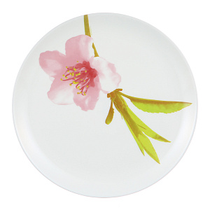 WATER COLOR Тарелка обеденная LUMINARC E4891/J4652 000000000001120559