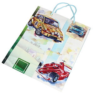 Подарочный бумажный пакет Премиум+, 32x26x15 см 000000000001036475