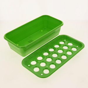 Ящик с лотком для выращивания зеленого лука 380*190*95 зеленый C1301 пластик Ящик с лотком для выращивания зеленого лука 380*190*95 зеленый C1301 пластик 000000000001182778