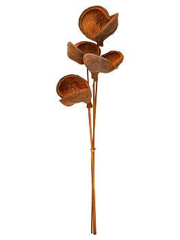 Сухоцветы 16x8x70см DE'NASTIA Бадам микс цветов 000000000001228191