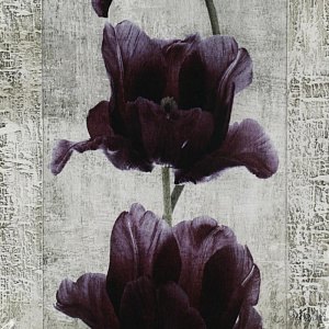 Репродукция 20х50см ДЕКАРТ д8С0003 000000000001162686