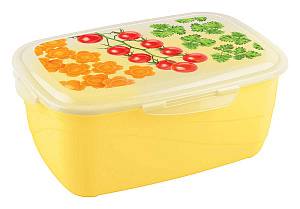 Контейнер для продуктов 4,8л 29,6х20х12,5см БЫТПЛАСТ Click&Lock декор пластик 000000000001167492